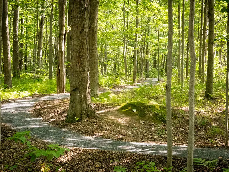 Cimetières Drummond Sentier St-Philippe